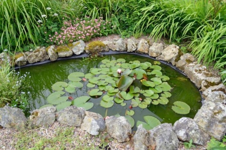 Bassin ou massifs floraux, quel projet privil&eacute;gier pour cr&eacute;er votre jardin &agrave; &Eacute;pernay ?
