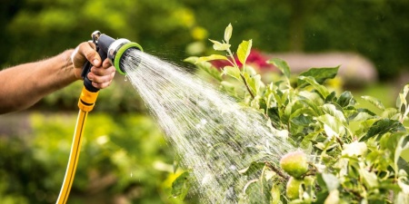 arrosagedujardin--8d3c63e8eef34e78a21e4053a14d8080.jpg